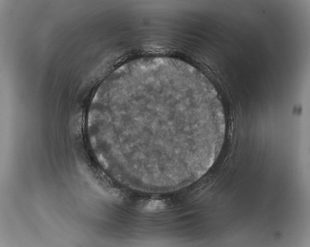 X0000113950647200911061304