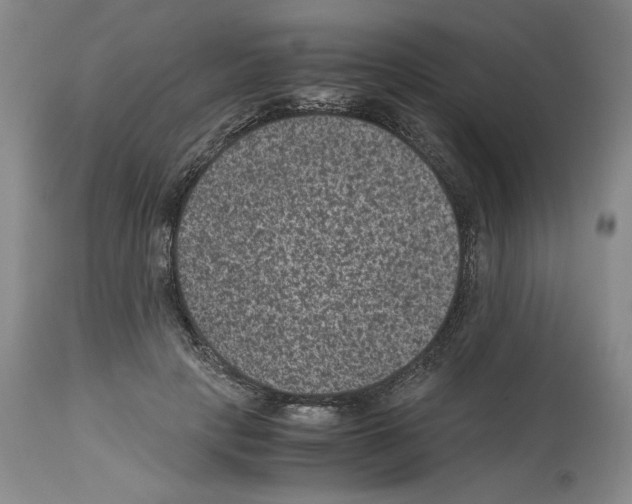 X0000113950649200911061304