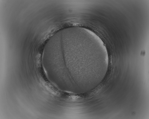 X0000113950650200911061304