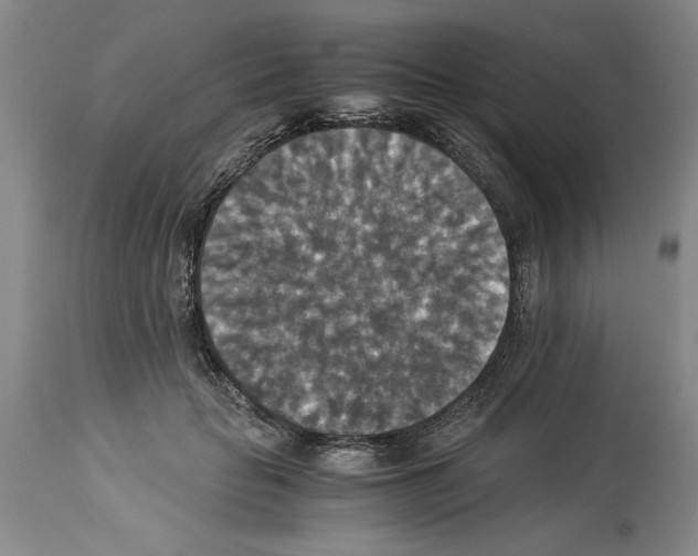 X0000113950653200911061304
