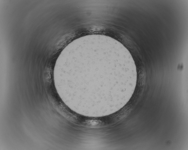 X0000113950654200911061304
