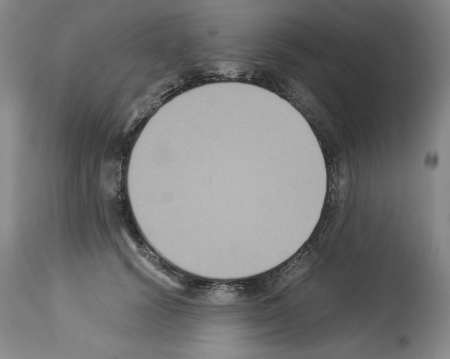 X0000113950656200911061304