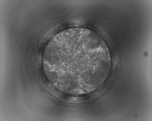 X0000113950657200911061304