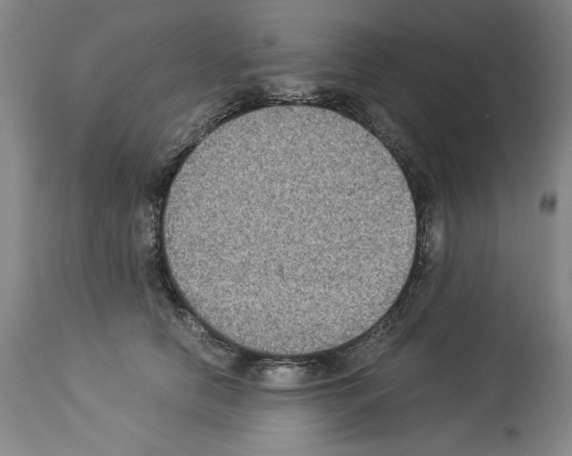 X0000113950658200911061304