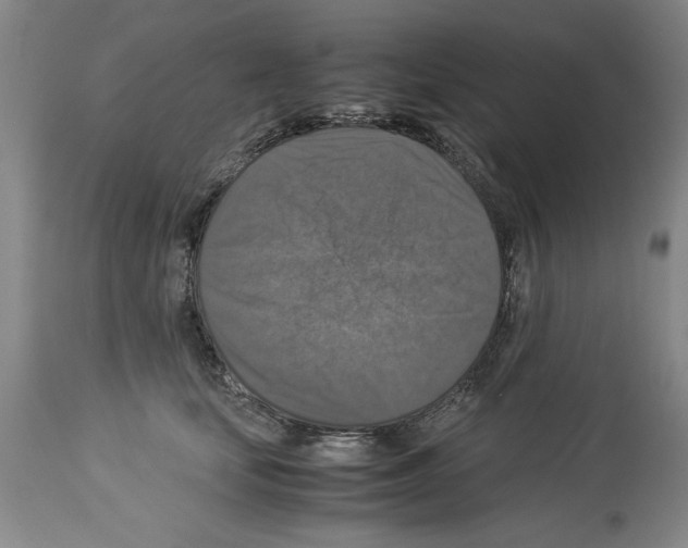 X0000113950659200911061305