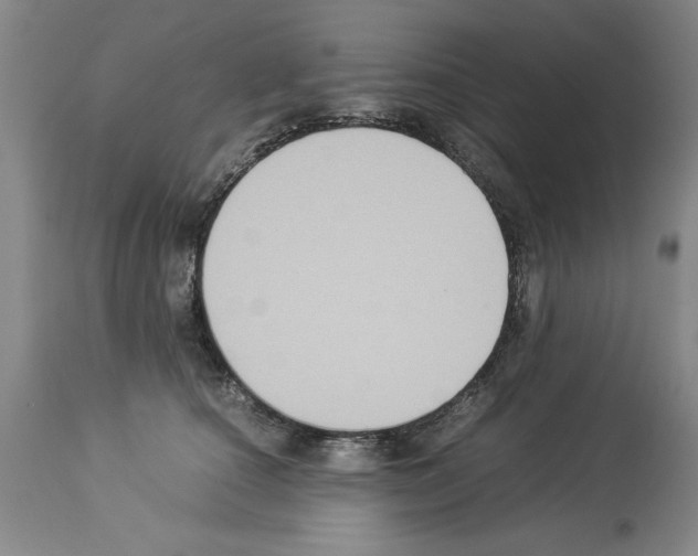X0000113950660200911061305