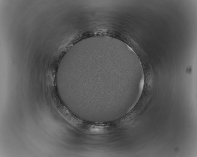 X0000113950661200911061305