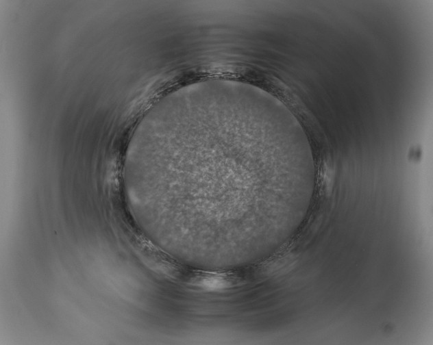 X0000113950663200911061305