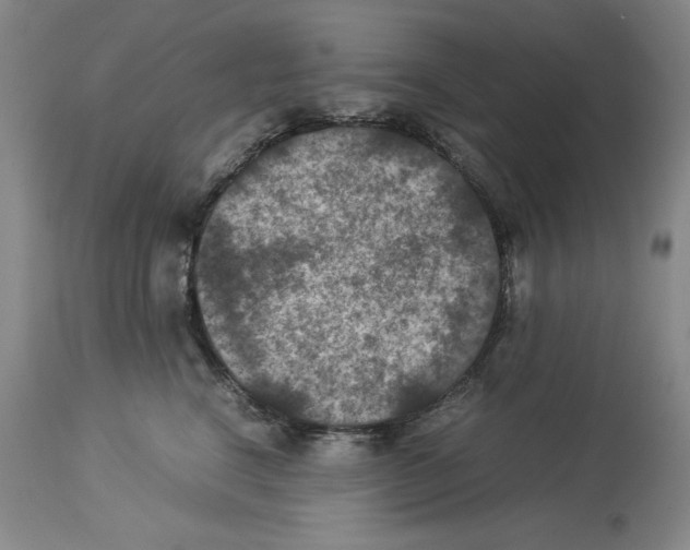 X0000113950664200911061305