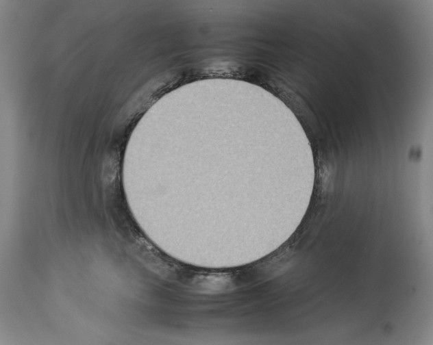 X0000113950665200911061305