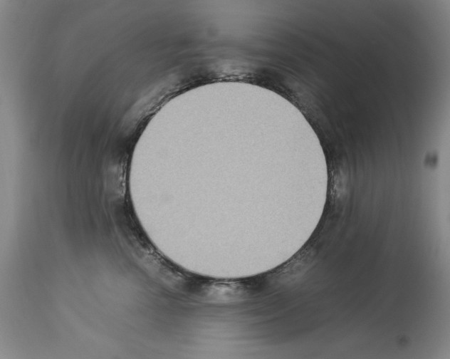 X0000113950666200911061305