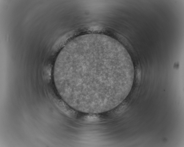 X0000113950668200911061305