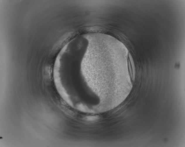 X0000113950669200911061305