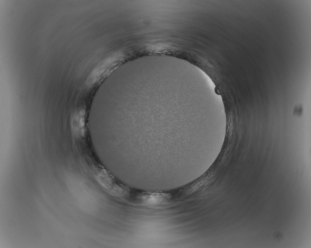 X0000113950670200911061305