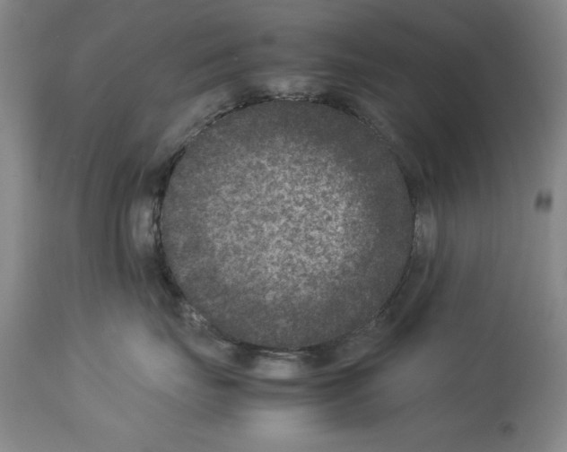X0000113950671200911061305