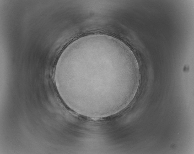 X0000113950672200911061305