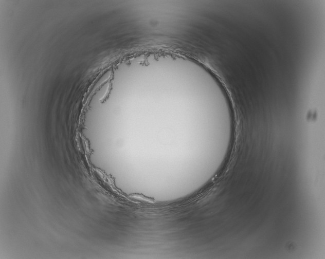 X0000113950673200911061304