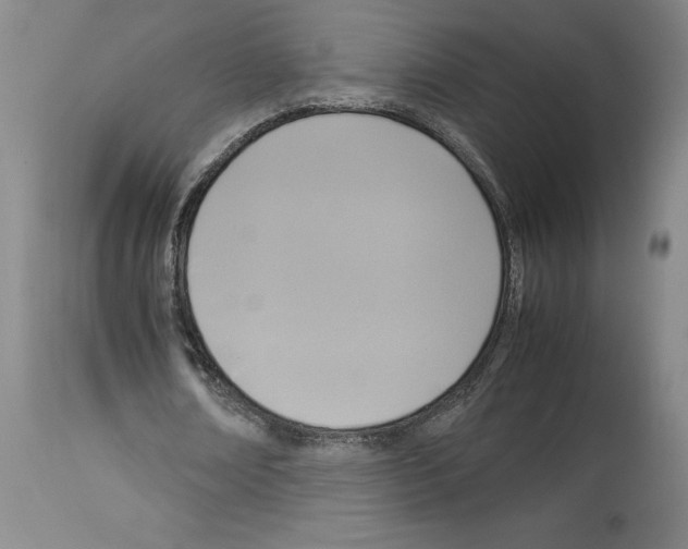 X0000113950674200911061304