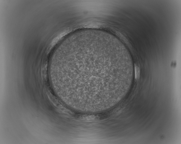 X0000113950675200911061304