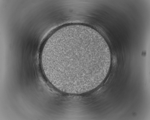 X0000113950676200911061304