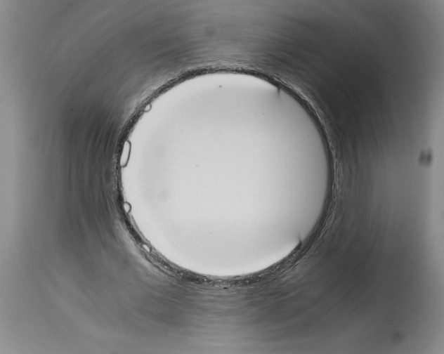 X0000113950677200911061304
