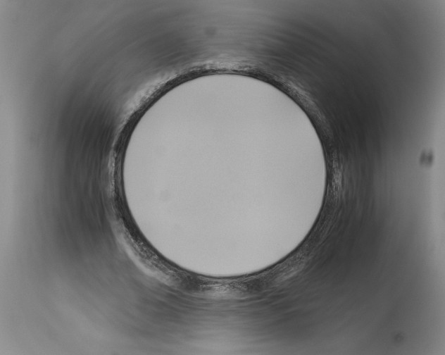 X0000113950678200911061304