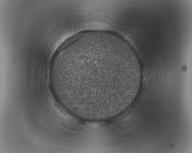 X0000113950679200911061304