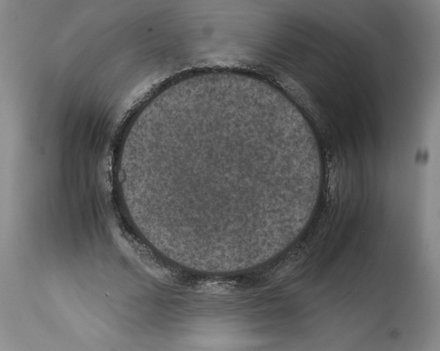 X0000113950680200911061304