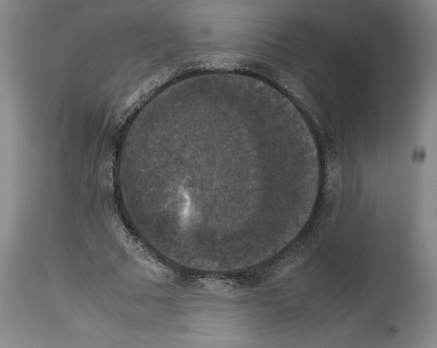 X0000113950681200911061304