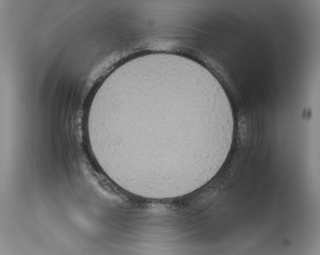 X0000113950682200911061304