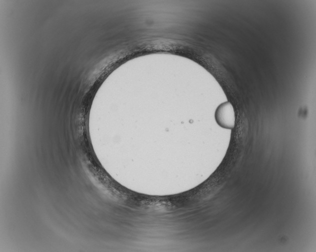 X0000113950683200911061304