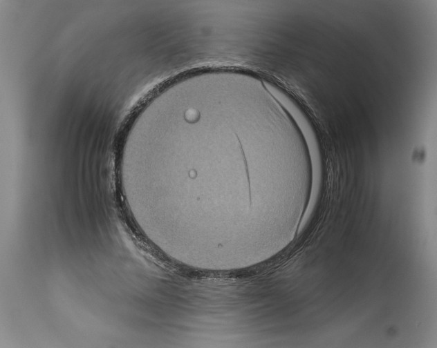 X0000113950684200911061304