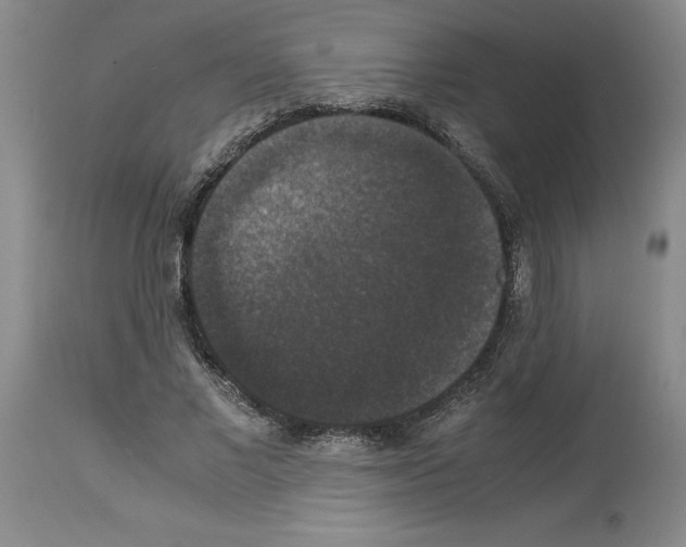 X0000113950685200911061304