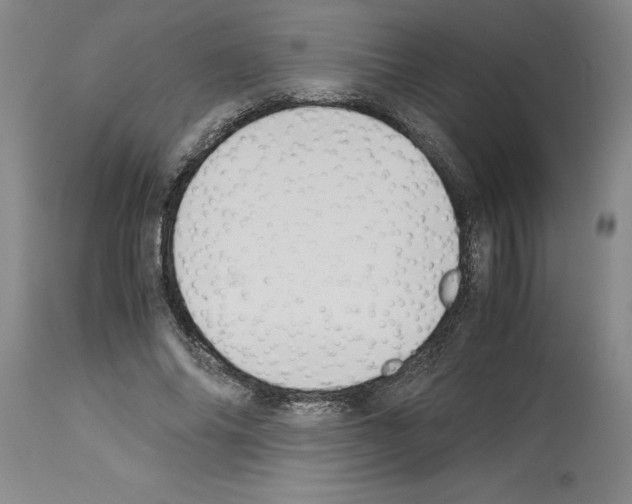 X0000113950686200911061304