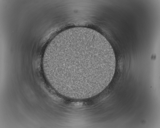 X0000113950687200911061304