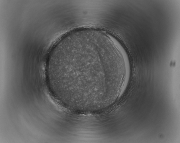 X0000113950688200911061304
