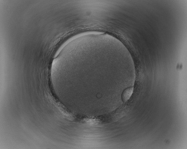 X0000113950689200911061304