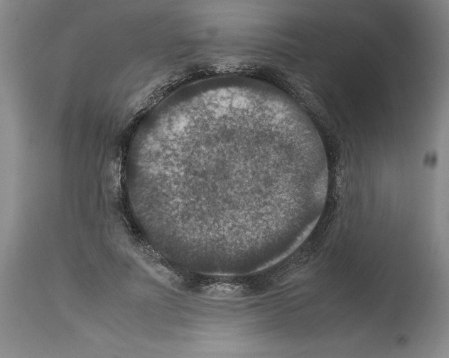 X0000113950691200911061304