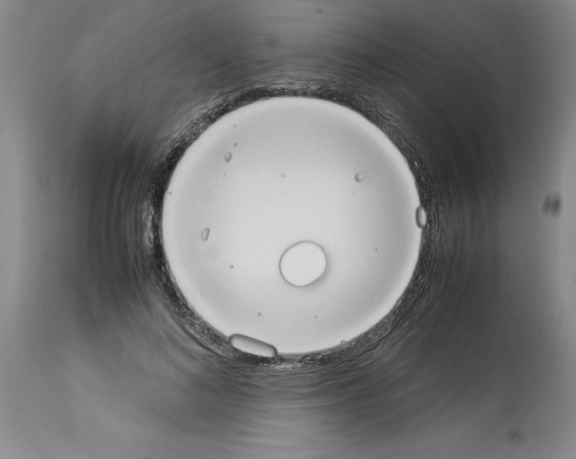 X0000113950692200911061304