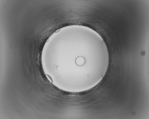 X0000113950693200911061304