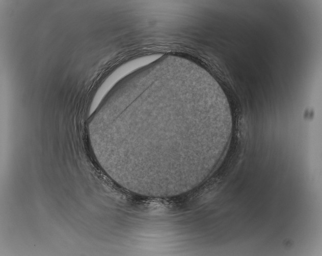 X0000113950697200911061304