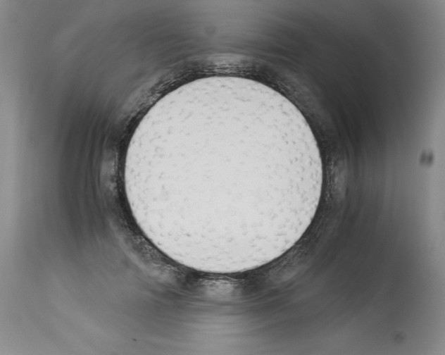 X0000113950698200911061304