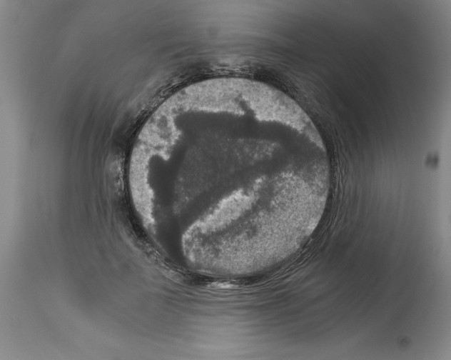 X0000113950699200911061304