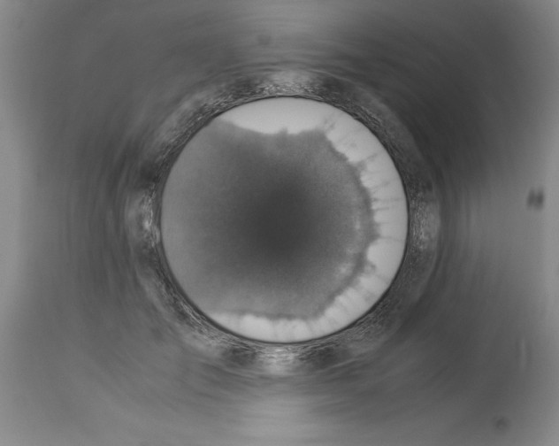 X0000113950701200911061304