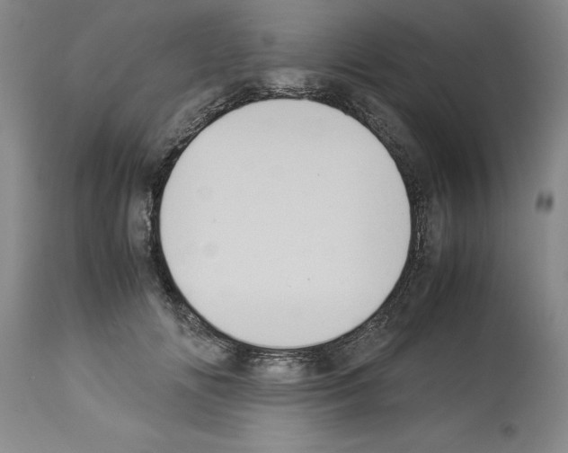 X0000113950702200911061304