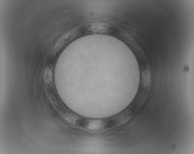 X0000113950705200911061304