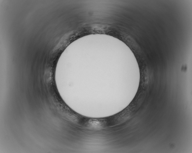 X0000113950706200911061304