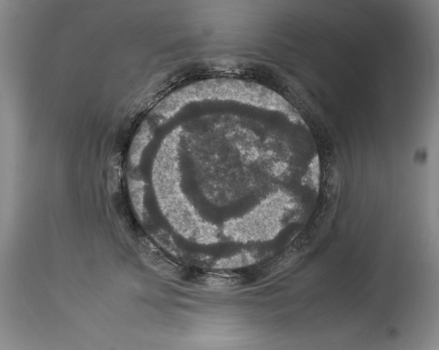 X0000113950707200911061304