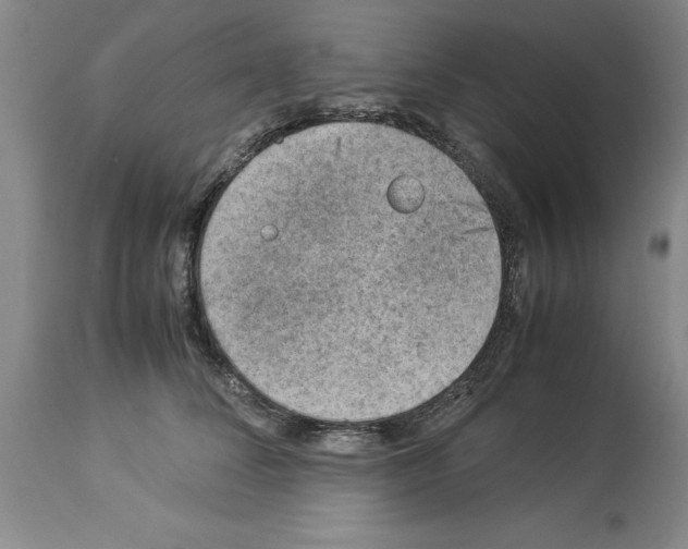 X0000113950708200911061304