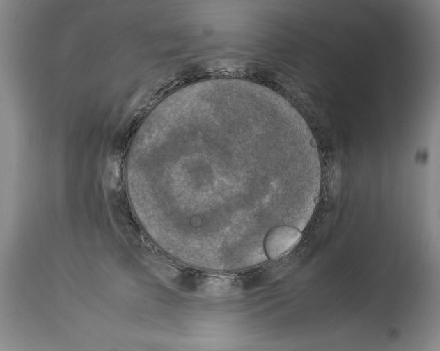 X0000113950709200911061304